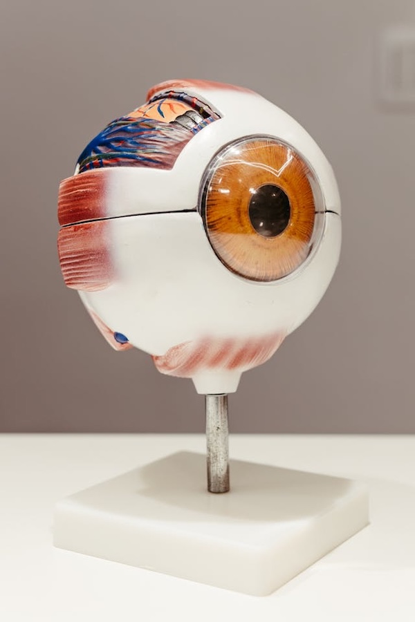 eye-cut