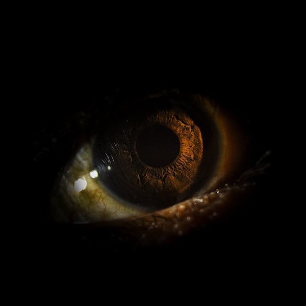brown eye in the dark