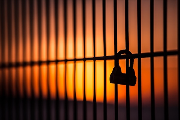 Padlocks on a gate in front of a sunset